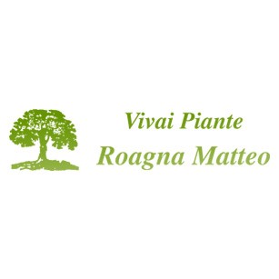 Online nuovo sito web di Vivai Roagna