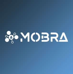Online nuovo sito web per Mobra®