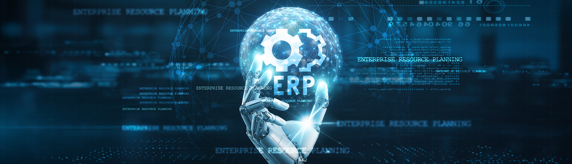 Software ERP